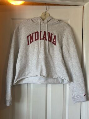 Cropped IU Hoodie